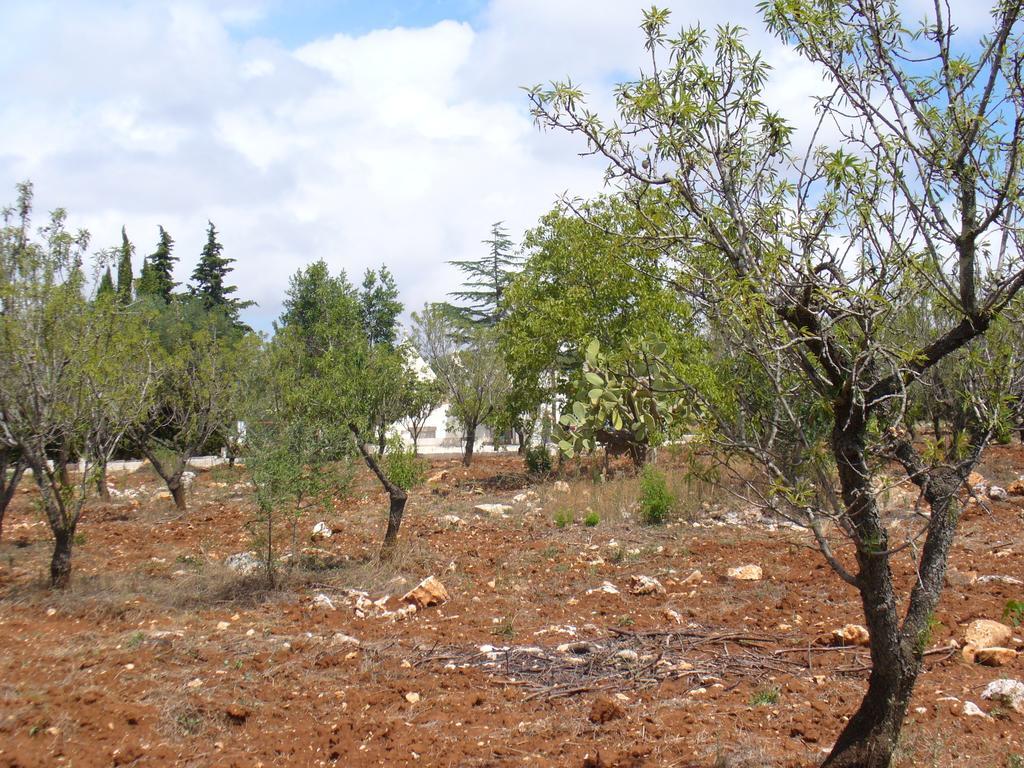 Villa Trullo Riccardo Ostuni Zimmer foto